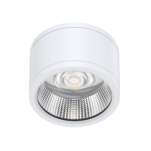 DL269 LED Downlight